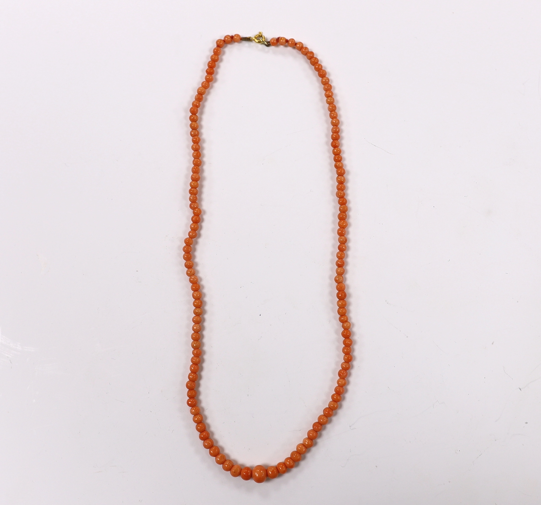 A single strand graduated coral bead necklace, with 9k clasp, 42cm. Fair condition.